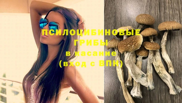 трава Зеленокумск
